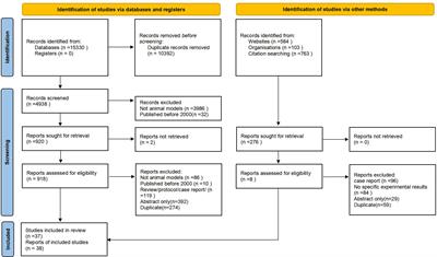 Methods and research progress in the construction of animal models of osteosarcopenia: a scoping review